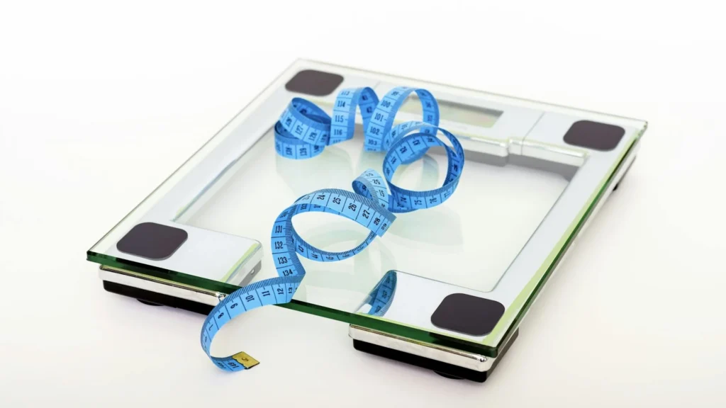 Meal Prep Sidekick Weighing Scale